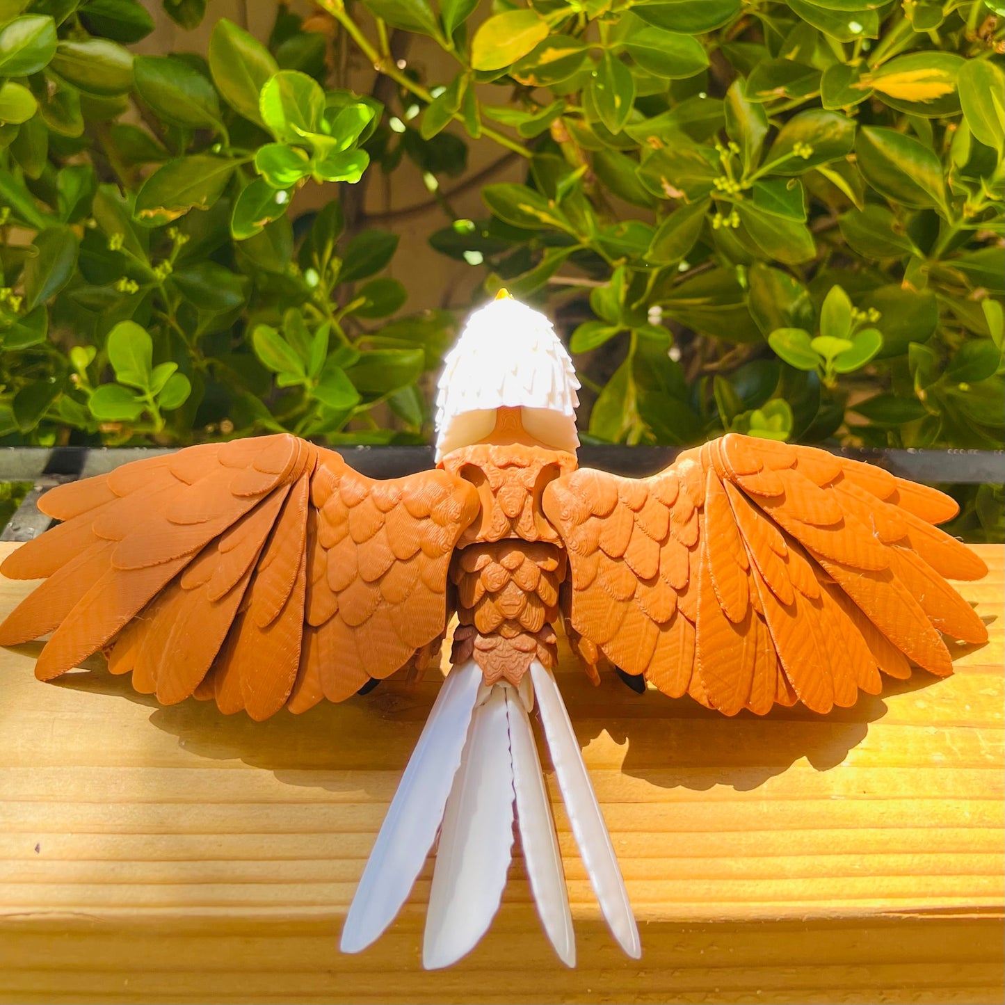 Articulated Eagle