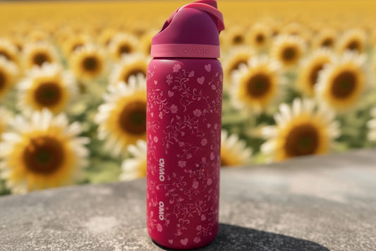 Owala 32oz Stainless Steel Vacuum Water Bottle & Thermal Cup with Lid