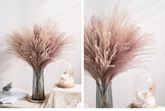 30pcs Natural Dried Pampas Grass