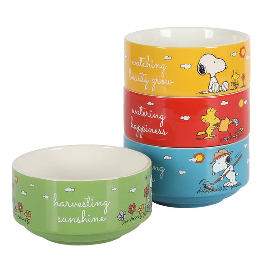 Peanuts 4 Pack Stoneware Bowl Set