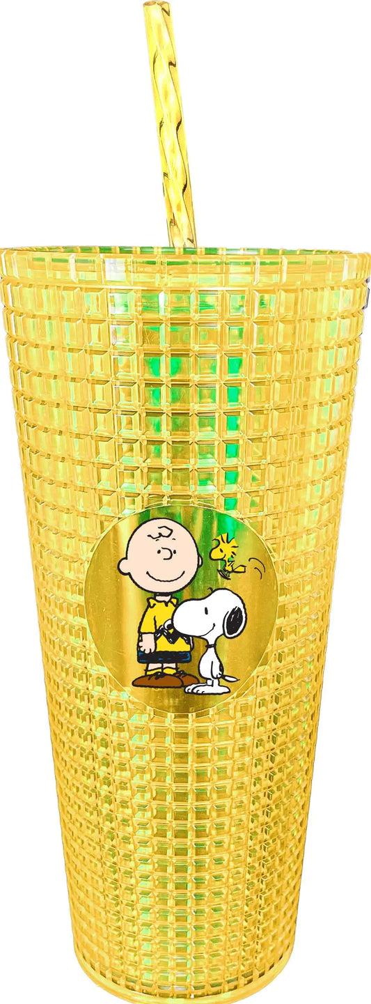 Spoontiques Charlie Brown & Snoopy Diamond Tumbler – 20 oz