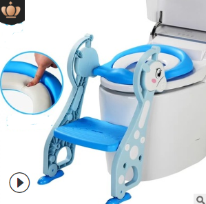 Toilet Training Step Stool and Seat
