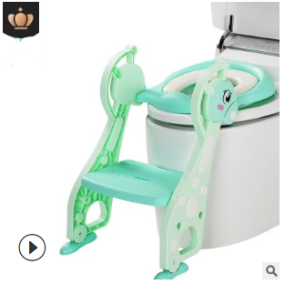Toilet Training Step Stool and Seat