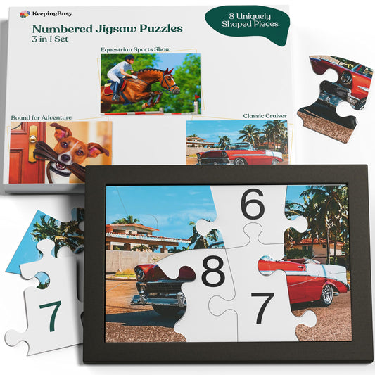 3-in-1 Alzheimer’s Activity Puzzle Set