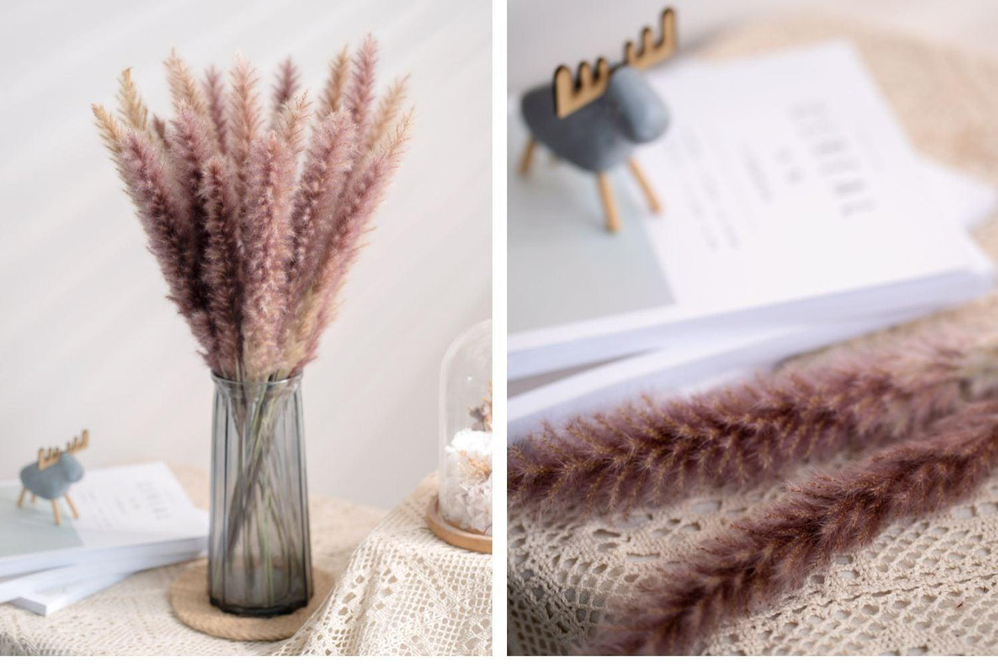 30pcs Natural Dried Pampas Grass