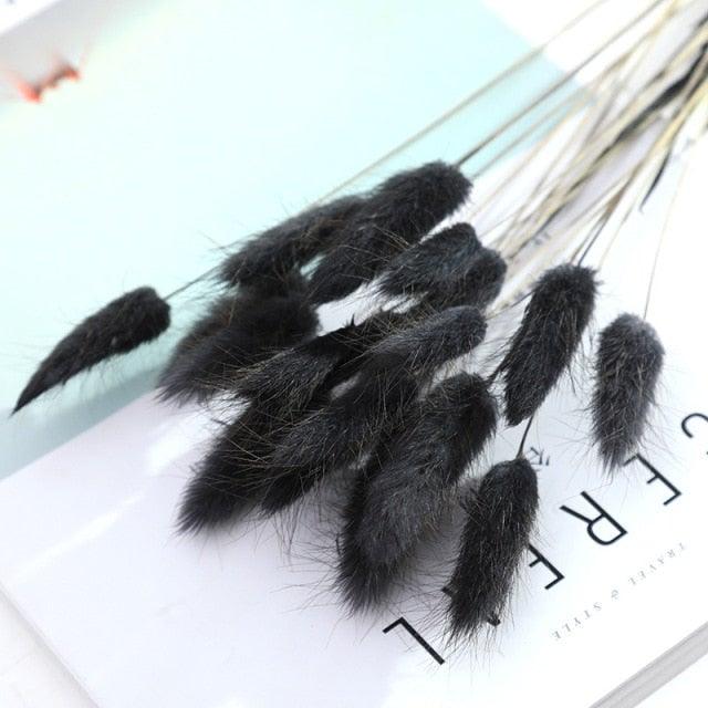 30pcs Natural Dried Pampas Grass