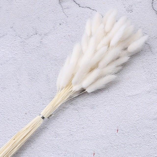 30pcs Natural Dried Pampas Grass