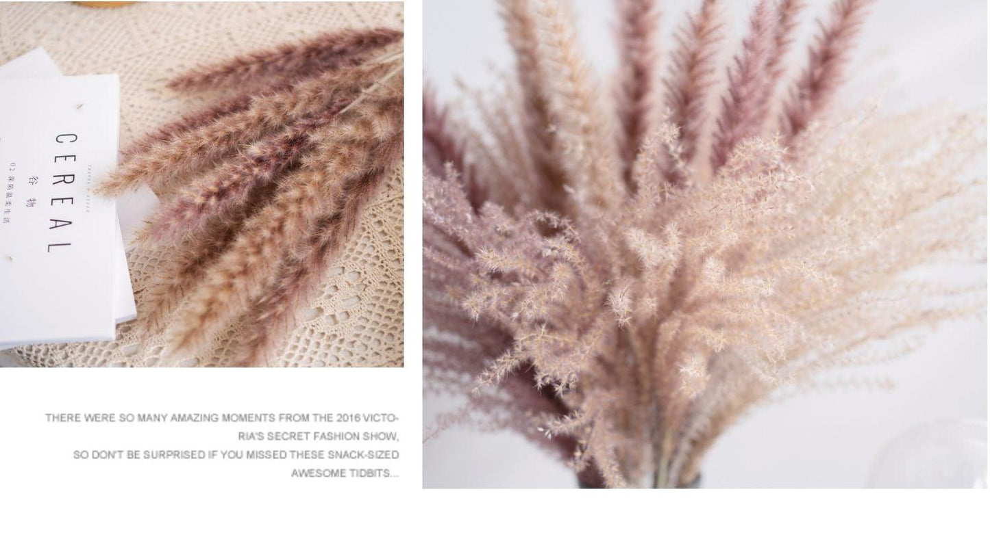 30pcs Natural Dried Pampas Grass