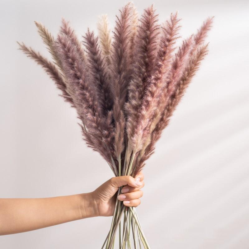 30pcs Natural Dried Pampas Grass