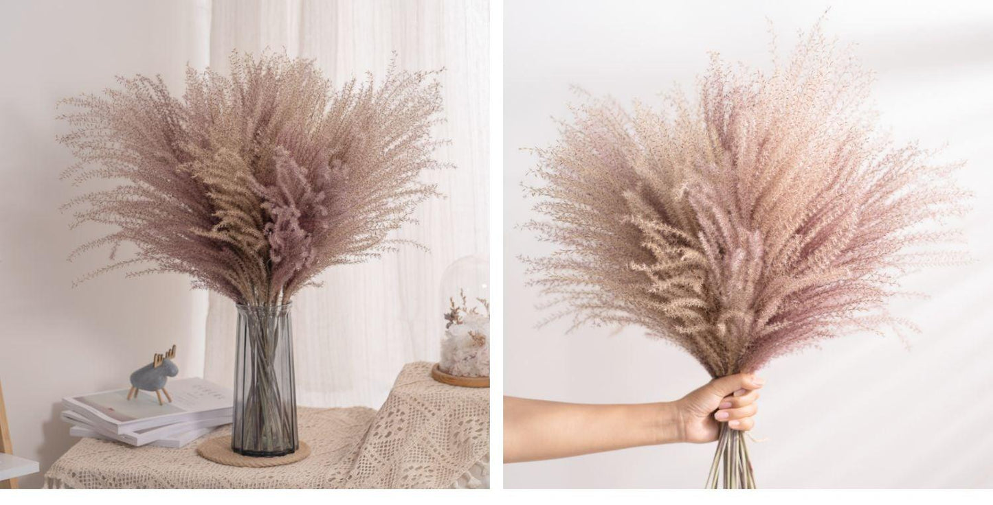 30pcs Natural Dried Pampas Grass