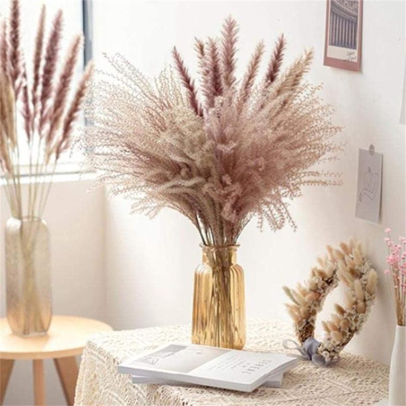 30pcs Natural Dried Pampas Grass