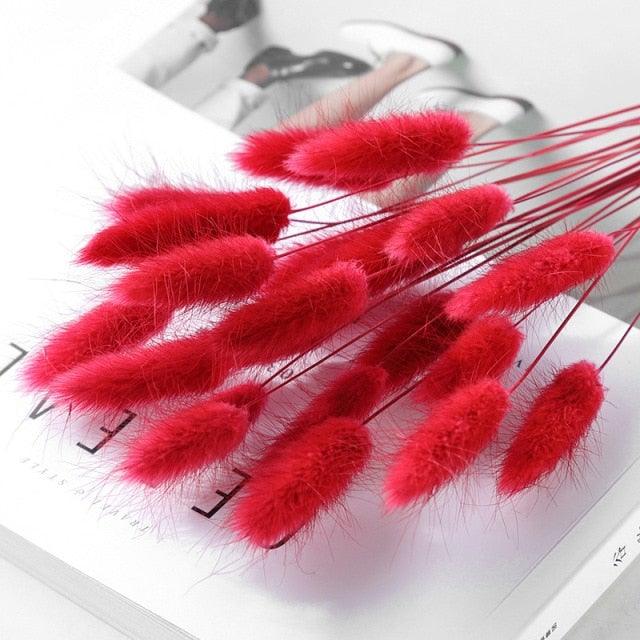 30pcs Natural Dried Pampas Grass