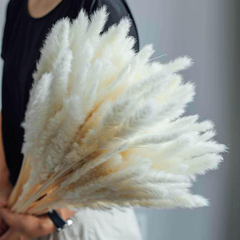 30pcs Natural Dried Pampas Grass