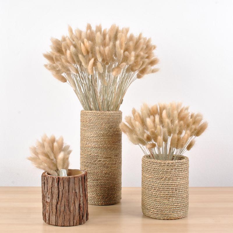 30pcs Natural Dried Pampas Grass