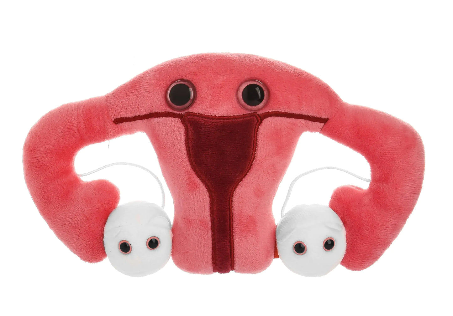 Hysterectomy and Endometriosis Stuffed Uterus Gift