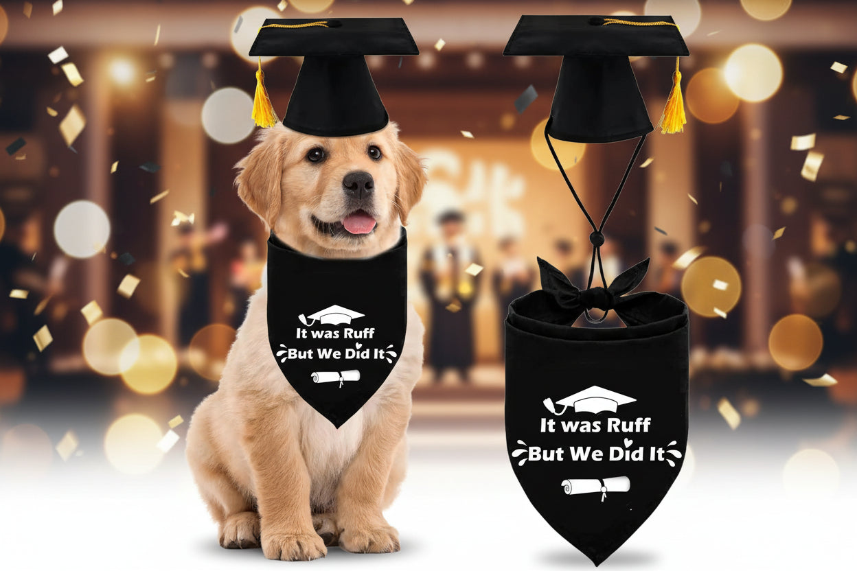 Dog Graduation Cap and Gown
