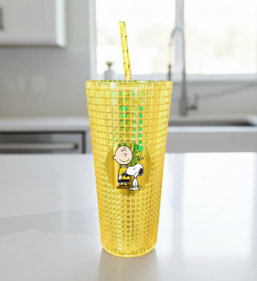 Spoontiques Charlie Brown & Snoopy Diamond Tumbler – 20 oz