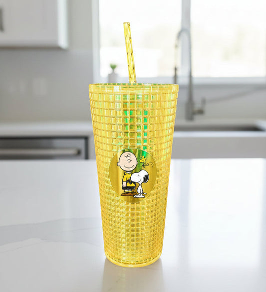 Spoontiques Charlie Brown & Snoopy Diamond Tumbler – 20 oz