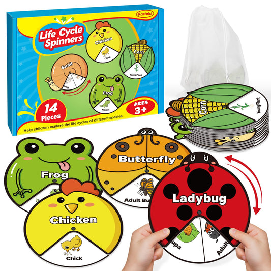 Montessori Life Cycle Cards Set