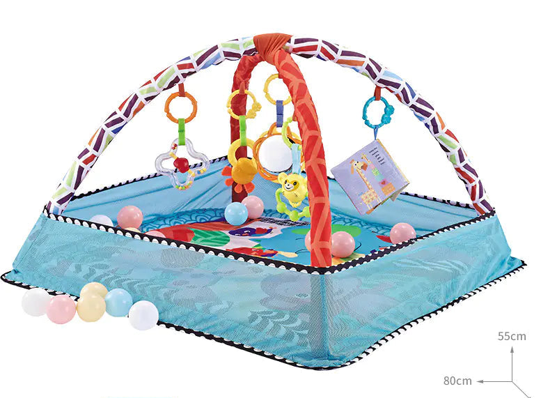Baby Play Gym with Ocean Balls and Activity Fence