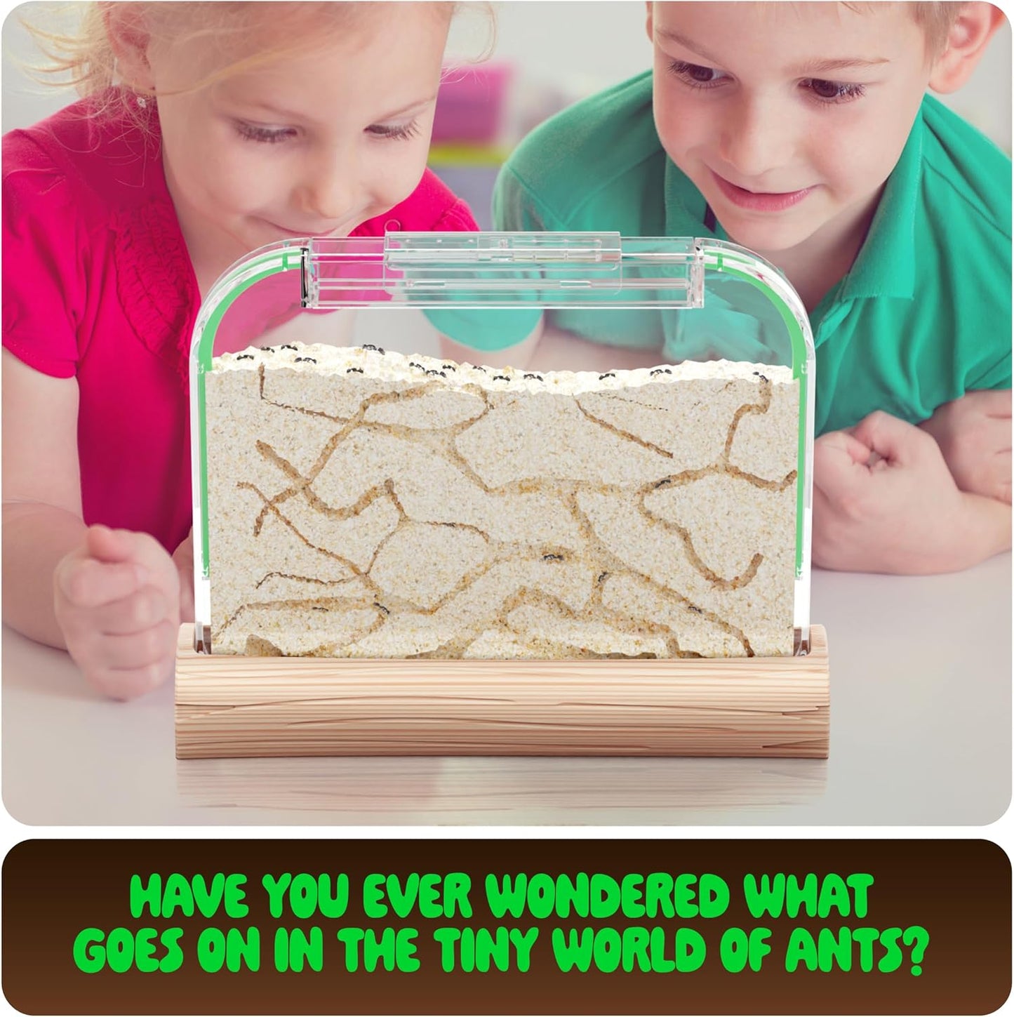 Dan & Darci Educational and Fun Ant Farm Kit