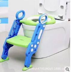 Toilet Training Step Stool and Seat