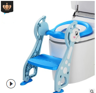 Toilet Training Step Stool and Seat