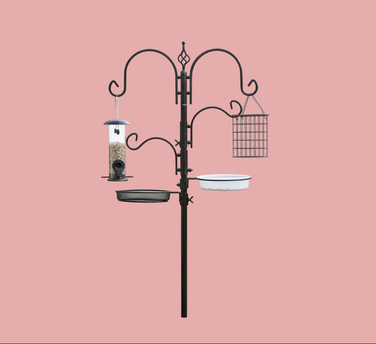 Complete Bird Feeder Set with Bronze Metal Stand Suet Water Bowl Tube and Tray