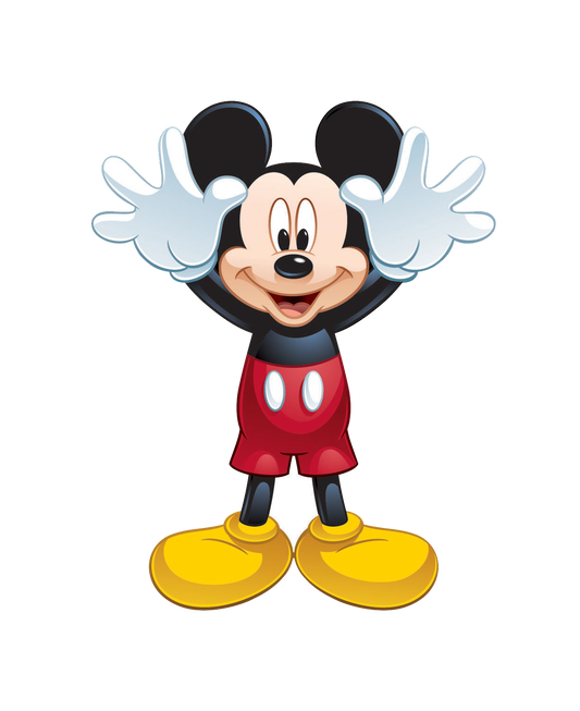 29 INCH TALL SKYPAL NYLON MICKEY MOUSE KITE