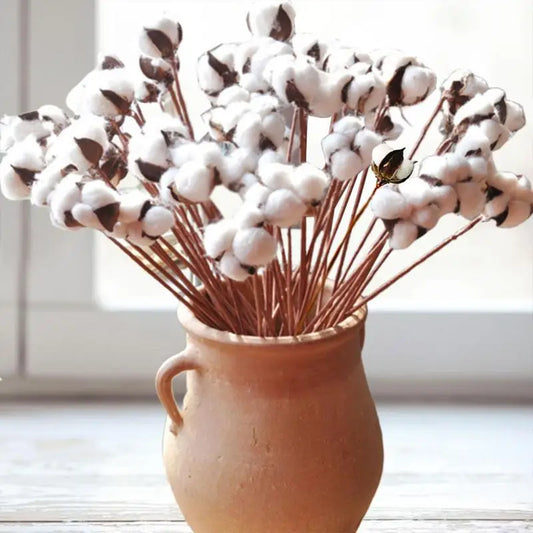 10pcs/Set Dried Artificial Cotton Branches