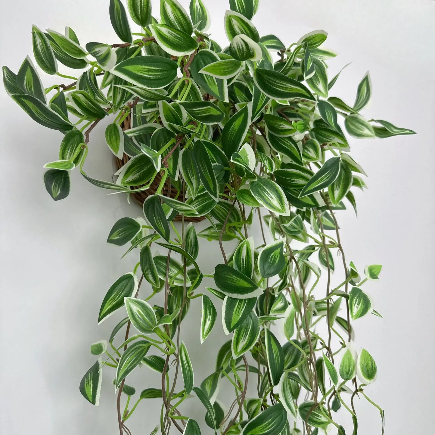Dlight Decor 75cm Hanging Eucalyptus Vine with Scindapsus Leaves