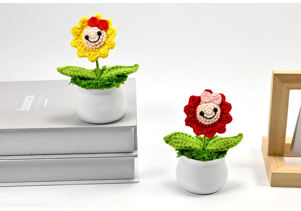 Hand-Crocheted Potted Plants