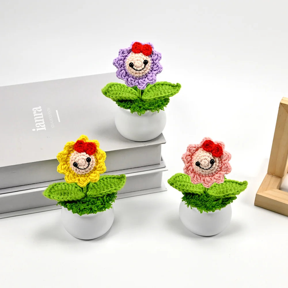 Hand-Crocheted Potted Plants