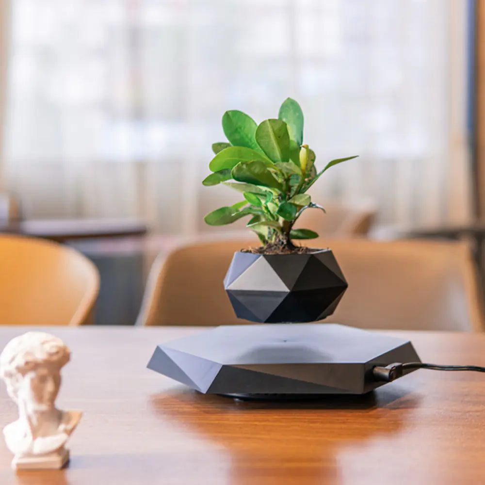 Creative Magnetic Levitation Planter by Innovative Patent