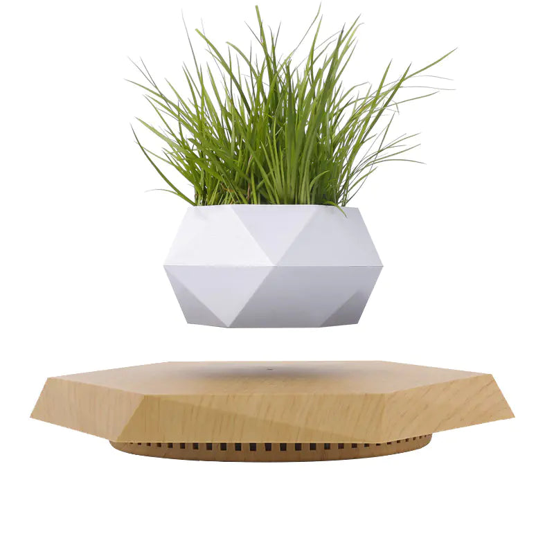 Creative Magnetic Levitation Planter by Innovative Patent