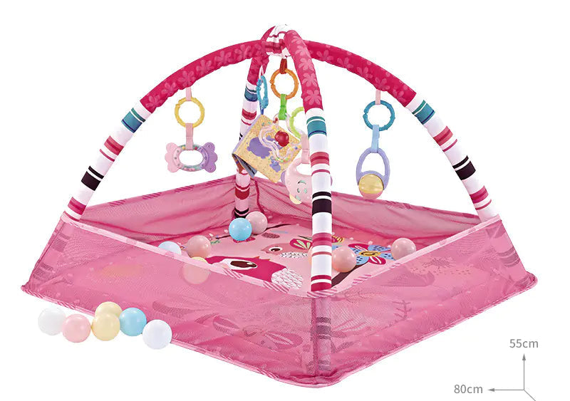 Baby Play Gym with Ocean Balls and Activity Fence