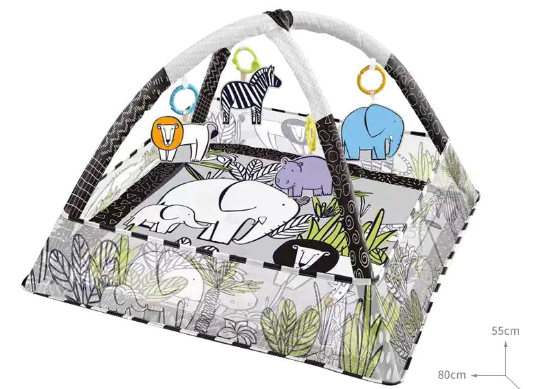 Baby Play Gym with Ocean Balls and Activity Fence