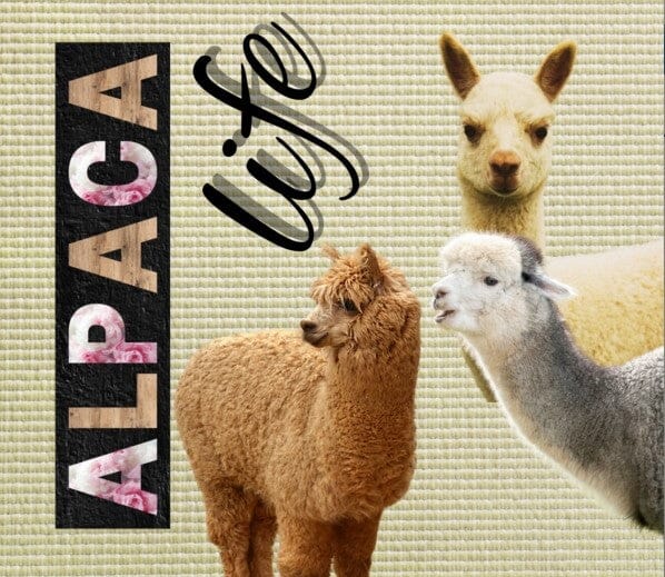 Alpaca Drink Tumbler