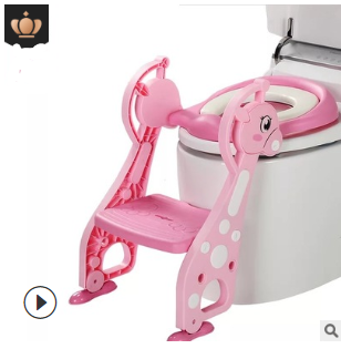 Toilet Training Step Stool and Seat
