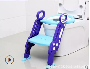 Toilet Training Step Stool and Seat