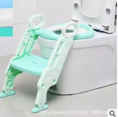 Toilet Training Step Stool and Seat