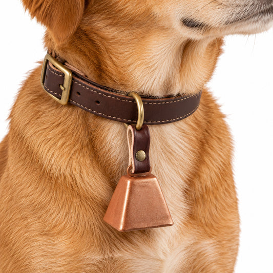 Dog Collar Cow Bell
