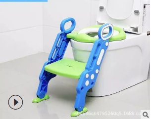 Toilet Training Step Stool and Seat
