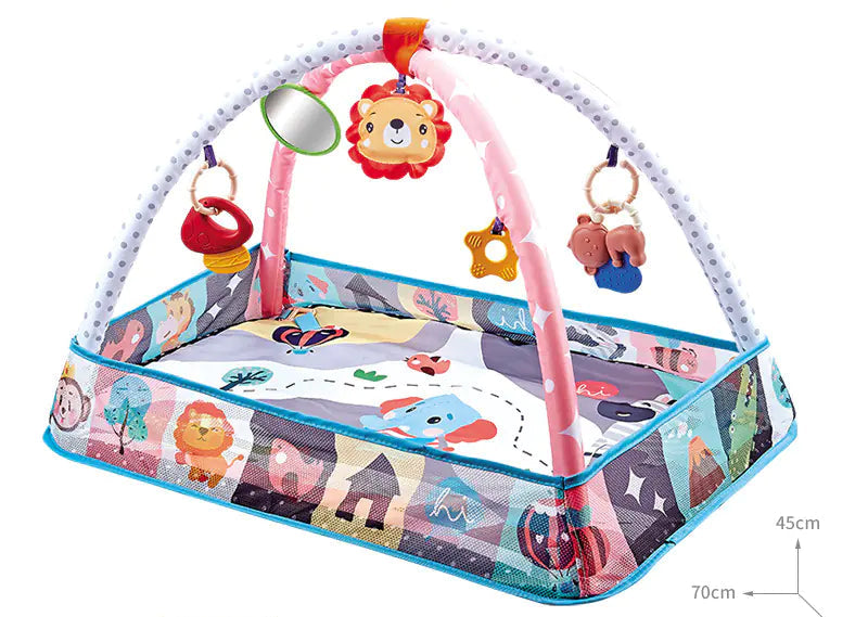 Baby Play Gym with Ocean Balls and Activity Fence