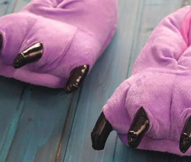 Dinosaur Paw Slippers