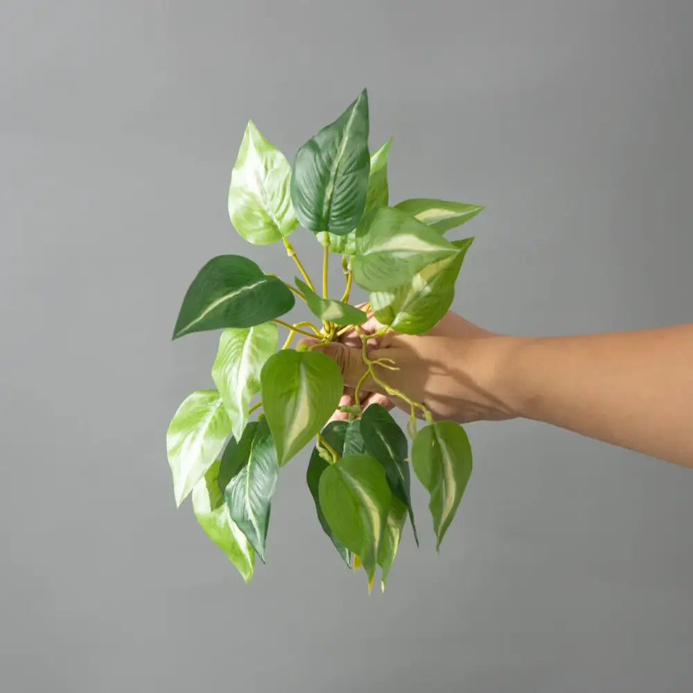 Dlight Decor 25cm Monstera Leaf Vine for Desktop and Holiday Decor