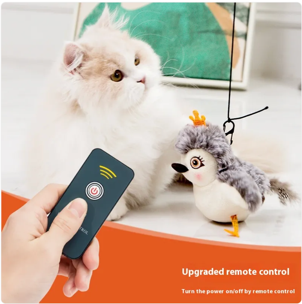 Interactive Remote-Control Pet Toy