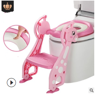 Toilet Training Step Stool and Seat