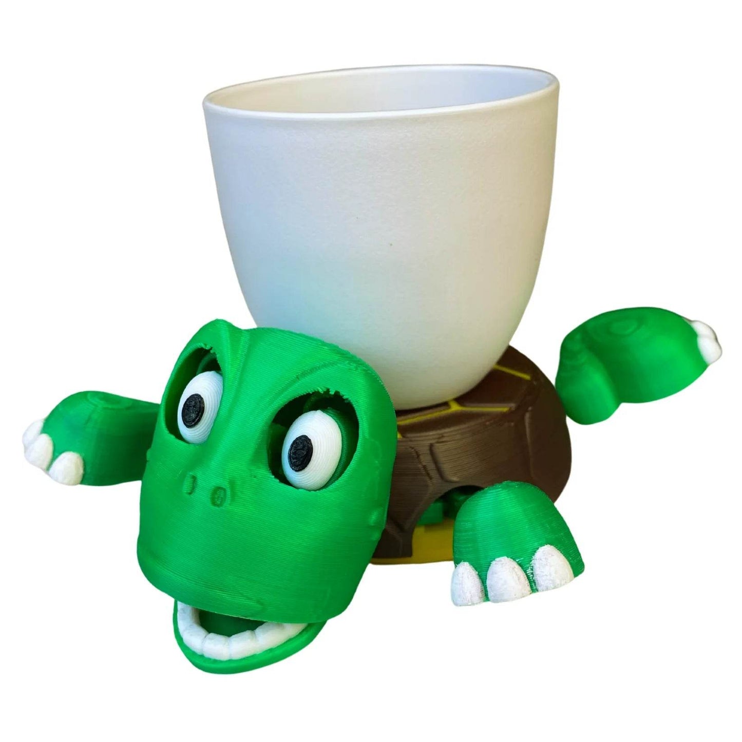 Cartoon Turtle coasters *Multiple Options