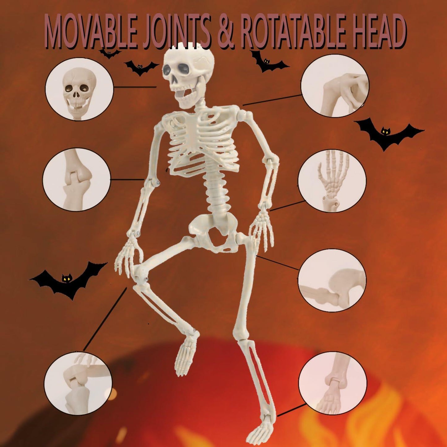 5PCS 16" Poseable Skeletons